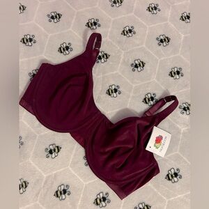 Fruit of the Loom bra